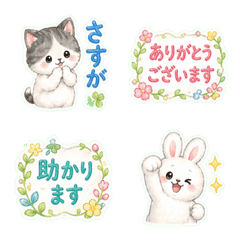 Reactions Animals | Rabbit & Calico Cat