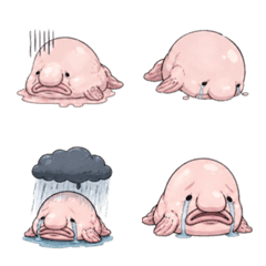 cry Blobfish