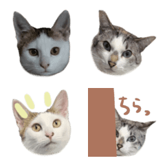 pjadmtqganuje