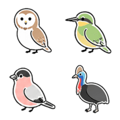 BBBBird3