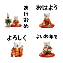 CAT  GOOD  Emoji118