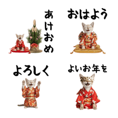 CAT  GOOD  Emoji119