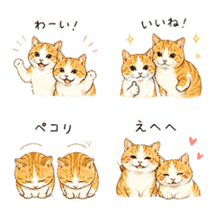 My adorable cats
