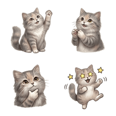 Fluffy Cat "Sui-chan" Daily Emoji 2