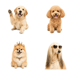 Real Dog Emoji