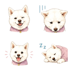 Cute Shiba Inu Emoji 9