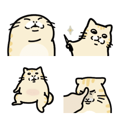 Meme Meow