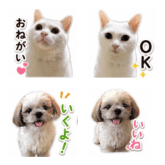 RYO&CHIKO