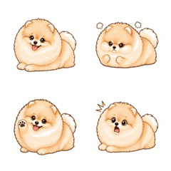 pomxza