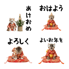 CAT  GOOD  Emoji120
