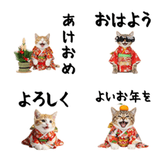 CAT  GOOD  Emoji122