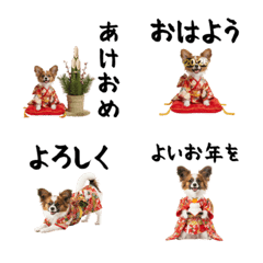 DOG  GOOD  Emoji183