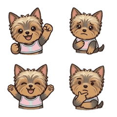My Little Yorkie Moods