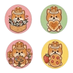 Chihuahua's pancake hat