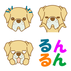 WANKO Emoji (Boxer)