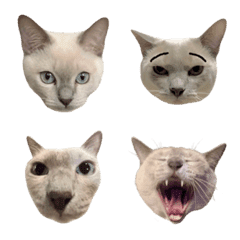 cochan emoji