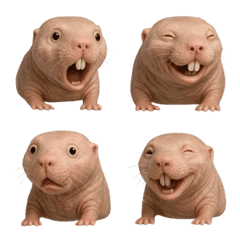 Our naked mole-rat -Emoji