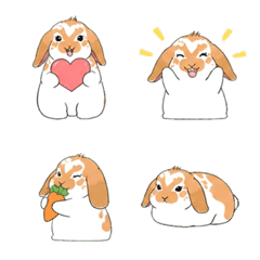 Rabbit roppuiya-