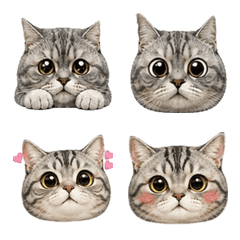 Poppy Face