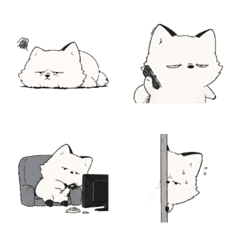 White Fox Mood