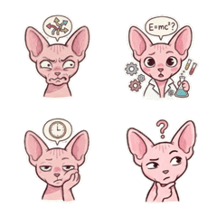 Rosy Skinny Kitty