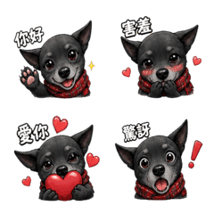 小寶小寶小寶