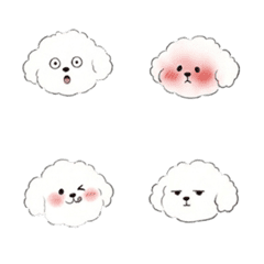朵朵比熊犬也能很派 B1
