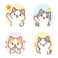 Cats in Everyday Life