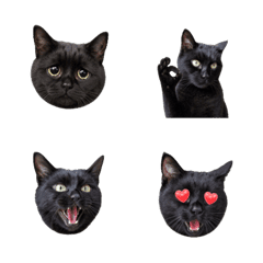 Rin-chan the Black Cat's Funny Emojis