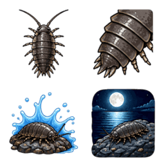 海濱蟲