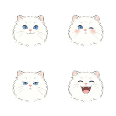 土耳其安哥拉猫-手繪卡通-表情貼