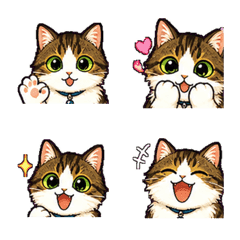 Main-kun Face Emoji