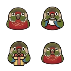 Happy Crimson-bellied