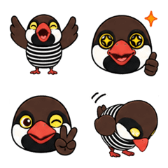 山原水雞：可愛小鳥表情貼
