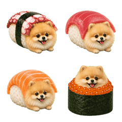 壽司博美犬