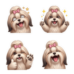 Full-coat ShihTzu with emoji-style faces