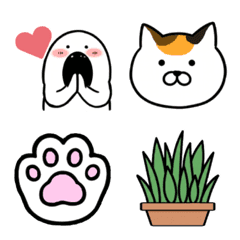Everyday Ghost & Calico Cat