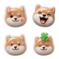 Puffy & Glossy Shiba Inu "Shibaran"