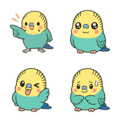 Parakeet 鳥 莫蘭迪色鹽系 1