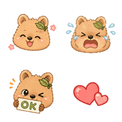 Quokka vol.1