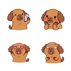 Kapipoo (Capybara x Poodle)