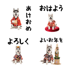 DOG  GOOD  Emoji187