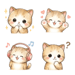 Sweet Marshmallow Kitten