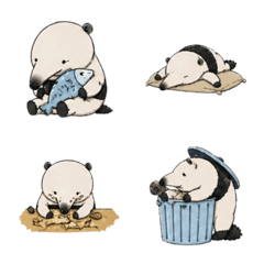 Cute Anteater Anteater