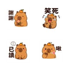 水豚君的微表情