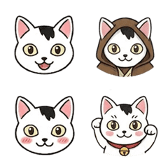 Capped Cat Luke Stickers
