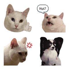 super lovely OMOCHI Emoji