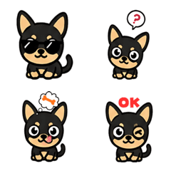 Maru the Chihuahua Emojis