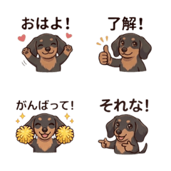 Dachshund Daily Reactions 1 (Cute)