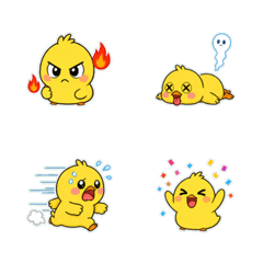 金絲雀鳥 顏微妙 1